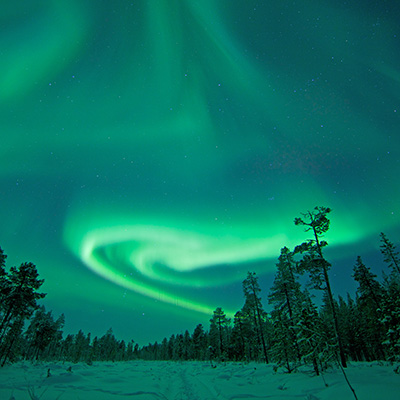 Ein dunkles Bild, das ein brillantes, smaragdgrünes Polarlicht zeigt, das sich über einem mit Schnee bedeckten Wald von Kiefern schlängelt. Der Nachthimmel ist dunkelblau und mit unzähligen Sternen übersät. Das Polarlicht ist in weichen, fließenden Bändern geformt, die sich zum oberen Bildrand hin ausbreiten. Die Bäume im Vordergrund sind mit Schnee bedeckt und wirken kalt. Ein dunkles Bild, das ein brillantes, smaragdgrünes Polarlicht zeigt, das sich über einem mit Schnee bedeckten Wald von Kiefern schlängelt. Der Nachthimmel ist dunkelblau und mit unzähligen Sternen übersät. Das Polarlicht ist in weichen, fließenden Bändern geformt, die sich zum oberen Bildrand hin ausbreiten. Die Bäume im Vordergrund sind mit Schnee bedeckt und wirken kalt.